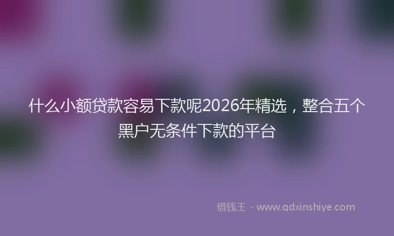 什么小额贷款容易下款呢2026年精选，整合五个黑户无条件下款的平台