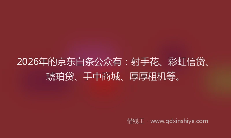2026年的京东白条公众有：射手花、彩虹信贷、琥珀贷、手中商城、厚厚租机等。