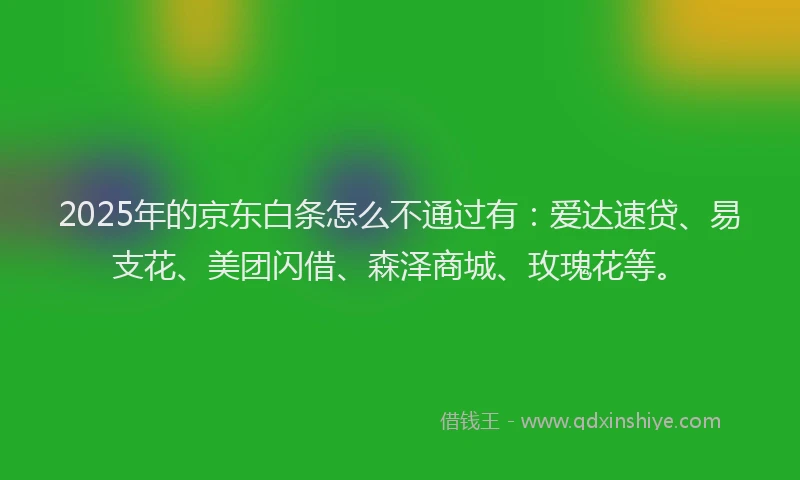 2025年的京东白条怎么不通过有：爱达速贷、易支花、美团闪借、森泽商城、玫瑰花等。