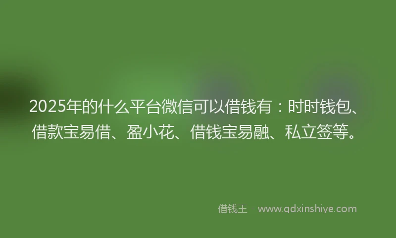 2025年的什么平台微信可以借钱有:时时钱包、借款宝易借、盈小花、借钱宝易融、私立签等。