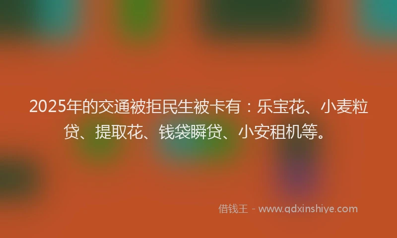 2025年的交通被拒民生被卡有：乐宝花、小麦粒贷、提取花、钱袋瞬贷、小安租机等。