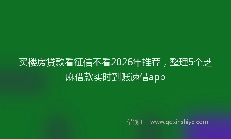 买楼房贷款看征信不看2026年推荐，整理5个芝麻借款实时到账速借app