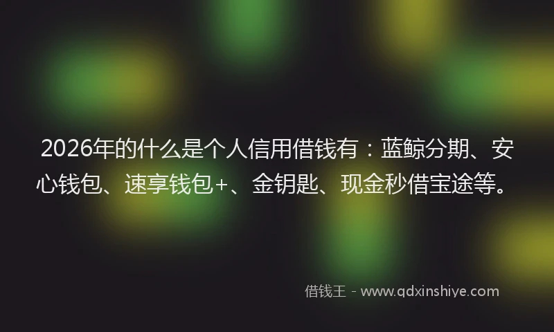 2026年的什么是个人信用借钱有:蓝鲸分期、安心钱包、速享钱包+、金钥匙、现金秒借宝途等。