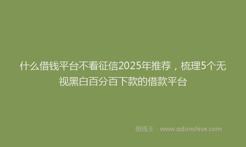什么借钱平台不看征信2025年推荐，梳理5个无视黑白百分百下款的借款平台