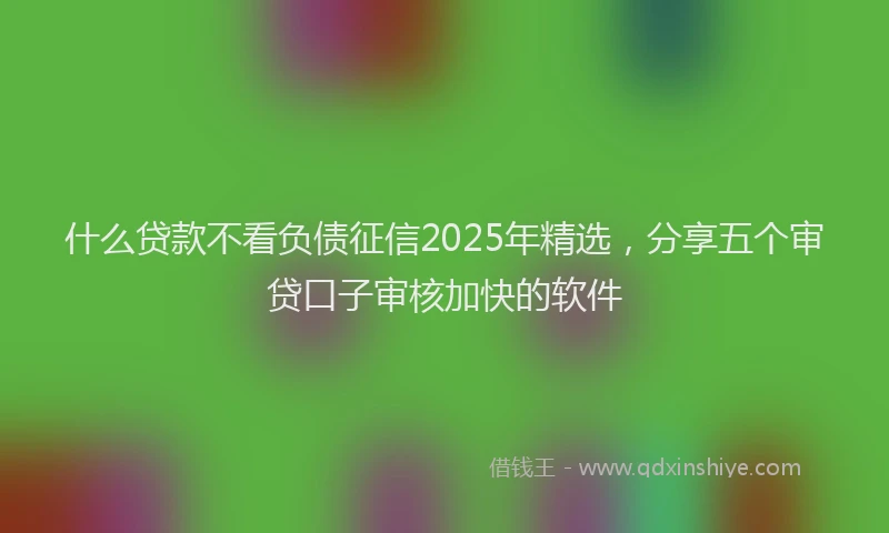 什么贷款不看负债征信2025年精选,分享五个审贷口子审核加快的软件