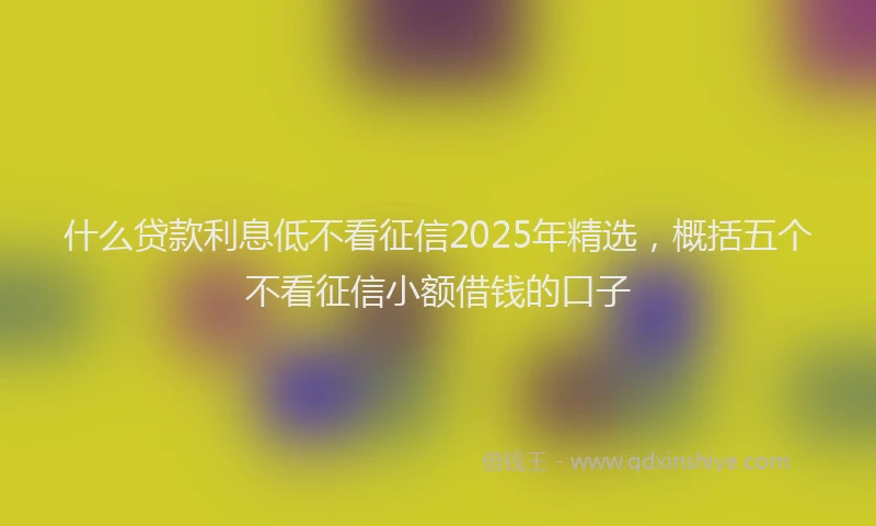 什么贷款利息低不看征信2025年精选，概括五个不看征信小额借钱的口子