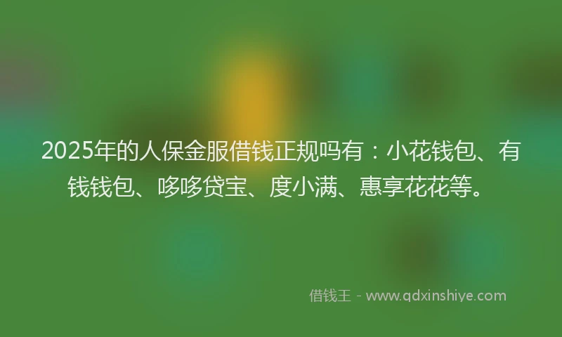 2025年的人保金服借钱正规吗有：小花钱包、有钱钱包、哆哆贷宝、度小满、惠享花花等。