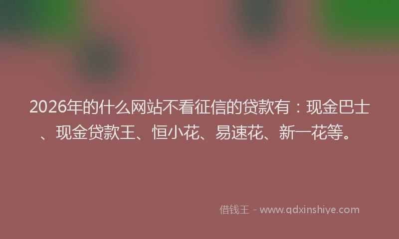 2026年的什么网站不看征信的贷款有:现金巴士、现金贷款王、恒小花、易速花、新一花等。