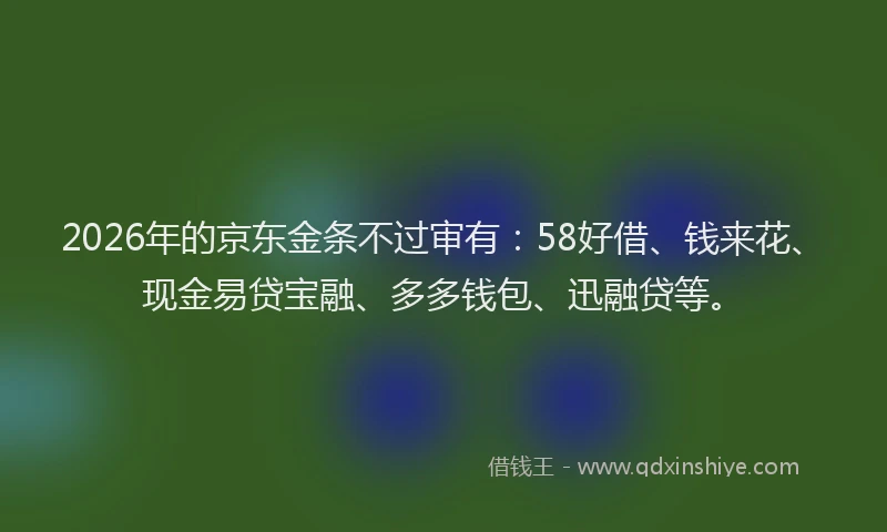 2026年的京东金条不过审有:58好借、钱来花、现金易贷宝融、多多钱包、迅融贷等。