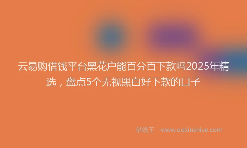 云易购借钱平台黑花户能百分百下款吗2025年精选，盘点5个无视黑白好下款的口子