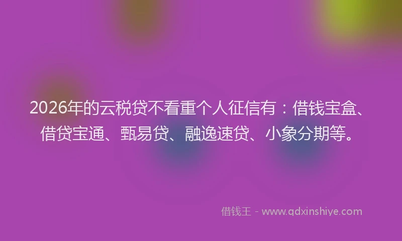 2026年的云税贷不看重个人征信有：借钱宝盒、借贷宝通、甄易贷、融逸速贷、小象分期等。