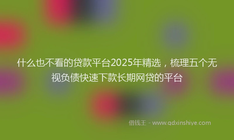 什么也不看的贷款平台2025年精选,梳理五个无视负债快速下款长期网贷的平台