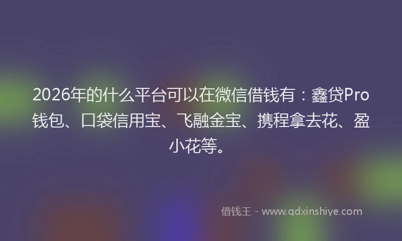 2026年的什么平台可以在微信借钱有：鑫贷Pro钱包、口袋信用宝、飞融金宝、携程拿去花、盈小花等。