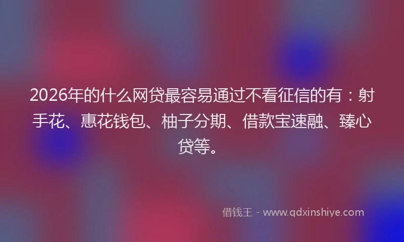 2026年的什么网贷最容易通过不看征信的有：射手花、惠花钱包、柚子分期、借款宝速融、臻心贷等。
