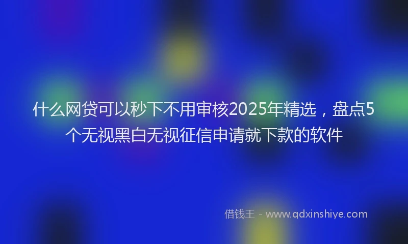 什么网贷可以秒下不用审核2025年精选,盘点5个无视黑白无视征信申请就下款的软件