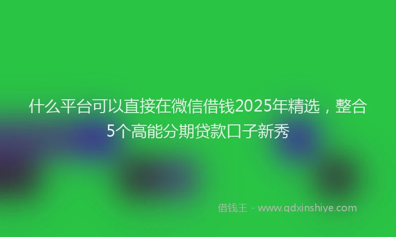 什么平台可以直接在微信借钱2025年精选，整合5个高能分期贷款口子新秀