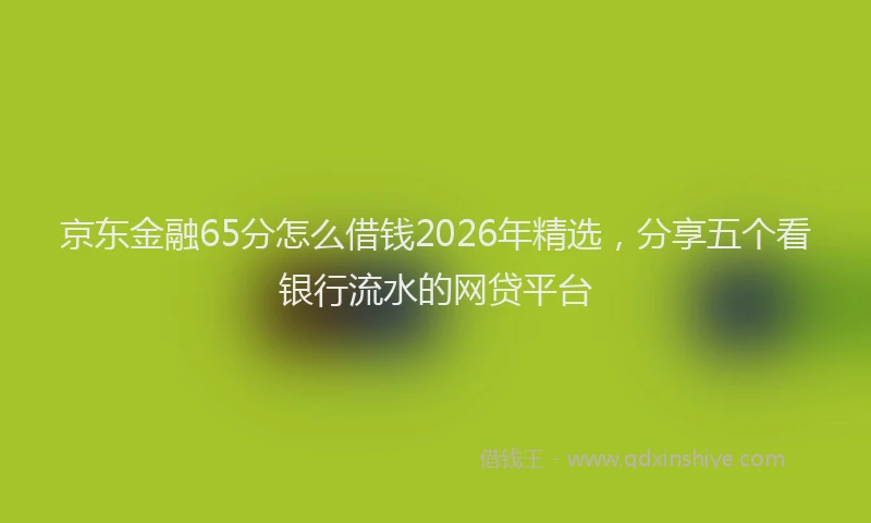 京东金融65分怎么借钱2026年精选，分享五个看银行流水的网贷平台