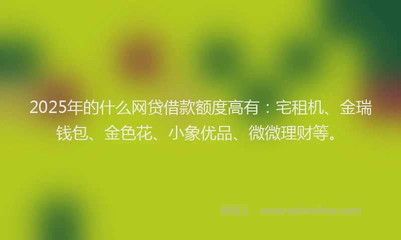 2025年的什么网贷借款额度高有：宅租机、金瑞钱包、金色花、小象优品、微微理财等。