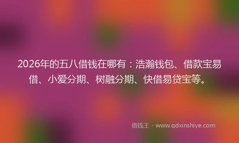 2026年的五八借钱在哪有：浩瀚钱包、借款宝易借、小爱分期、树融分期、快借易贷宝等。