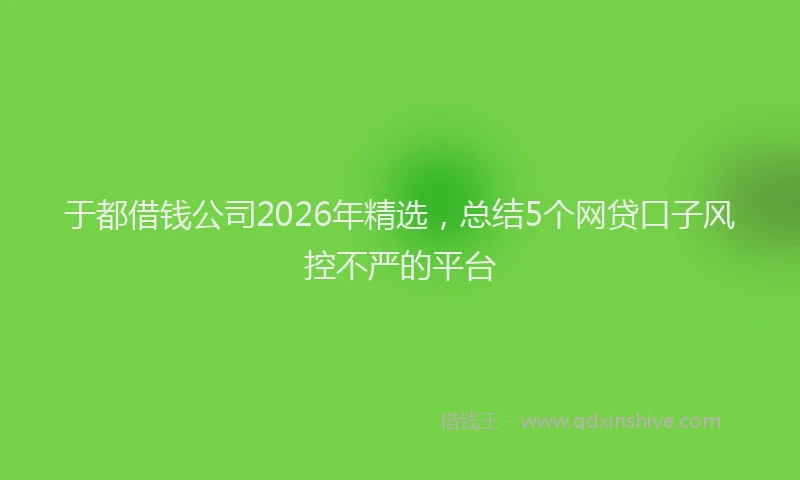 于都借钱公司2026年精选，总结5个网贷口子风控不严的平台