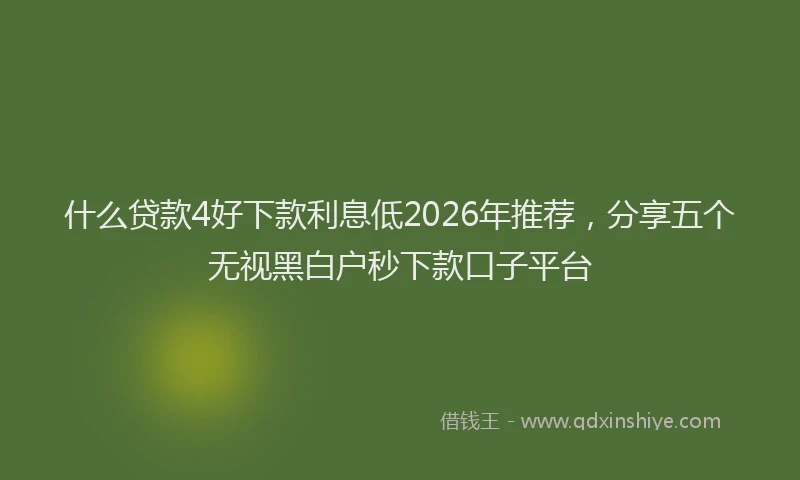 什么贷款4好下款利息低2026年推荐，分享五个无视黑白户秒下款口子平台