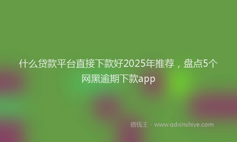 什么贷款平台直接下款好2025年推荐，盘点5个网黑逾期下款app