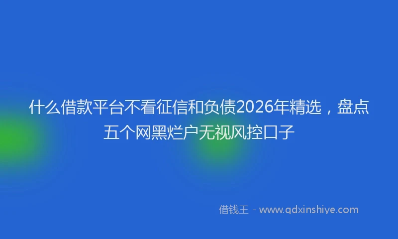 什么借款平台不看征信和负债2026年精选，盘点五个网黑烂户无视风控口子