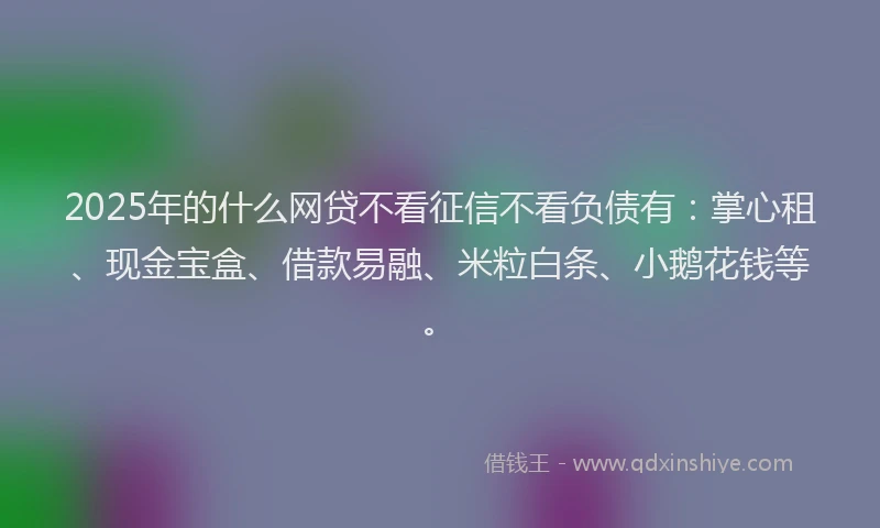 2025年的什么网贷不看征信不看负债有:掌心租、现金宝盒、借款易融、米粒白条、小鹅花钱等。