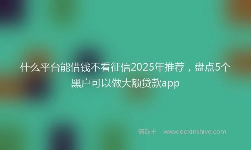 什么平台能借钱不看征信2025年推荐，盘点5个黑户可以做大额贷款app