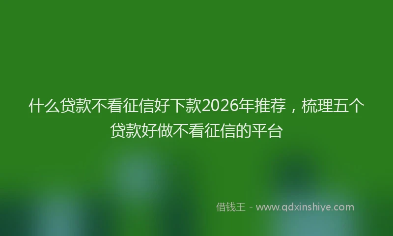 什么贷款不看征信好下款2026年推荐,梳理五个贷款好做不看征信的平台
