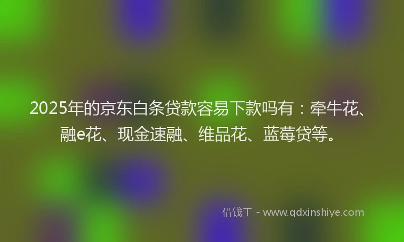 2025年的京东白条贷款容易下款吗有：牵牛花、融e花、现金速融、维品花、蓝莓贷等。