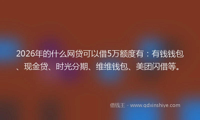 2026年的什么网贷可以借5万额度有：有钱钱包、现金贷、时光分期、维维钱包、美团闪借等。