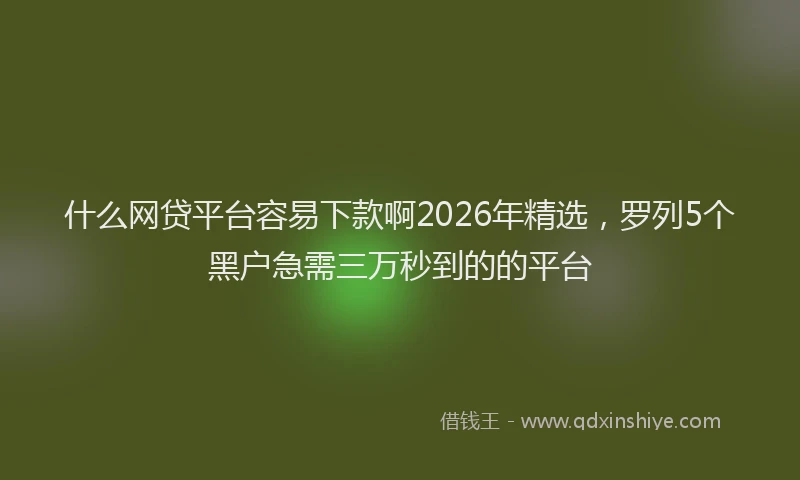 什么网贷平台容易下款啊2026年精选，罗列5个黑户急需三万秒到的的平台