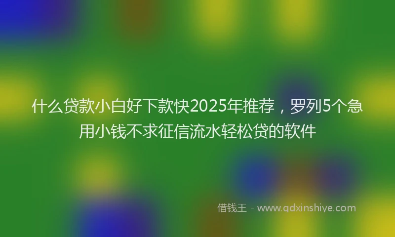 什么贷款小白好下款快2025年推荐，罗列5个急用小钱不求征信流水轻松贷的软件