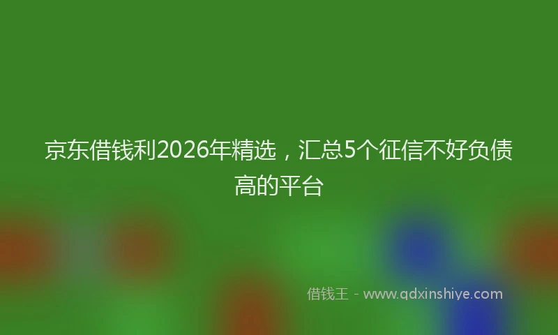 京东借钱利2026年精选，汇总5个征信不好负债高的平台