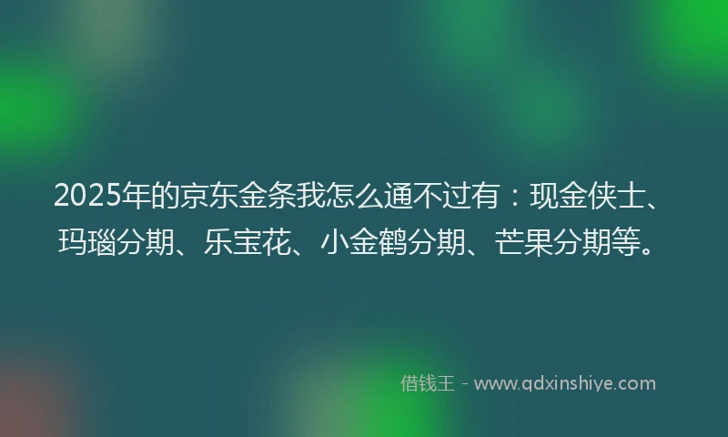 2025年的京东金条我怎么通不过有：现金侠士、玛瑙分期、乐宝花、小金鹤分期、芒果分期等。