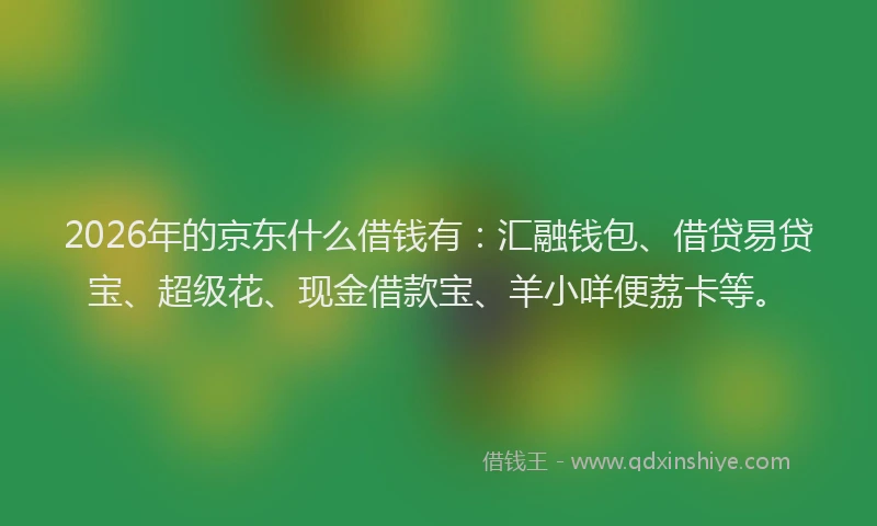 2026年的京东什么借钱有：汇融钱包、借贷易贷宝、超级花、现金借款宝、羊小咩便荔卡等。