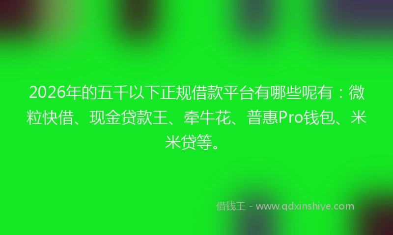 2026年的五千以下正规借款平台有哪些呢有:微粒快借、现金贷款王、牵牛花、普惠Pro钱包、米米贷等。