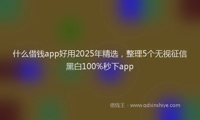 什么借钱app好用2025年精选，整理5个无视征信黑白100%秒下app