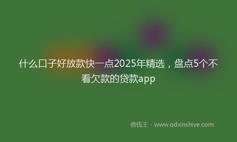 什么口子好放款快一点2025年精选，盘点5个不看欠款的贷款app