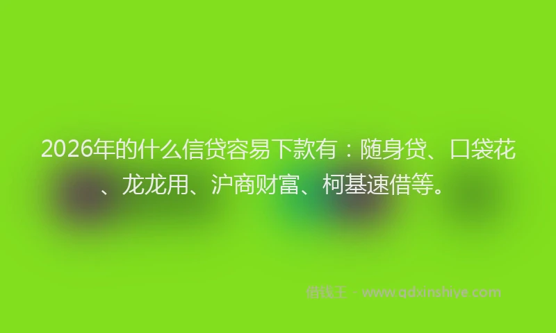 2026年的什么信贷容易下款有：随身贷、口袋花、龙龙用、沪商财富、柯基速借等。