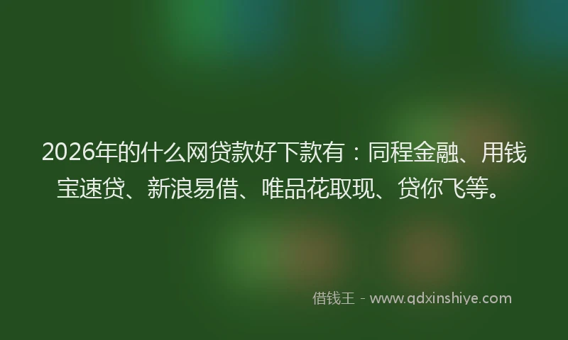 2026年的什么网贷款好下款有：同程金融、用钱宝速贷、新浪易借、唯品花取现、贷你飞等。