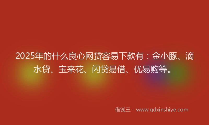2025年的什么良心网贷容易下款有：金小豚、滴水贷、宝来花、闪贷易借、优易购等。