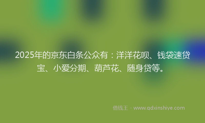 2025年的京东白条公众有：洋洋花呗、钱袋速贷宝、小爱分期、葫芦花、随身贷等。