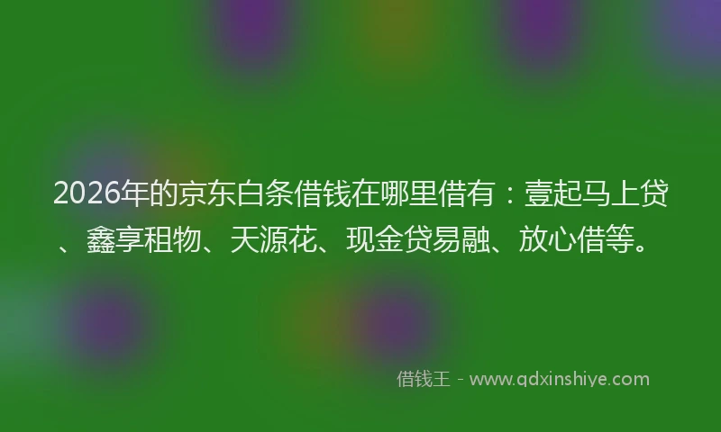 2026年的京东白条借钱在哪里借有：壹起马上贷、鑫享租物、天源花、现金贷易融、放心借等。