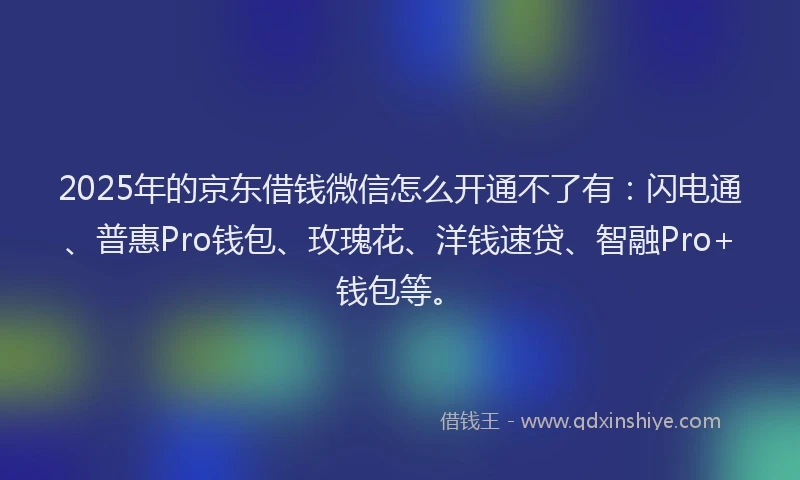 2025年的京东借钱微信怎么开通不了有:闪电通、普惠Pro钱包、玫瑰花、洋钱速贷、智融Pro+钱包等。