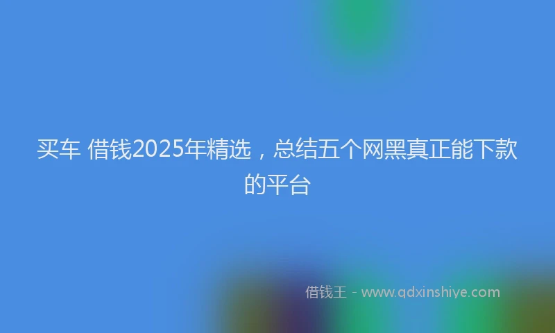 买车 借钱2025年精选，总结五个网黑真正能下款的平台
