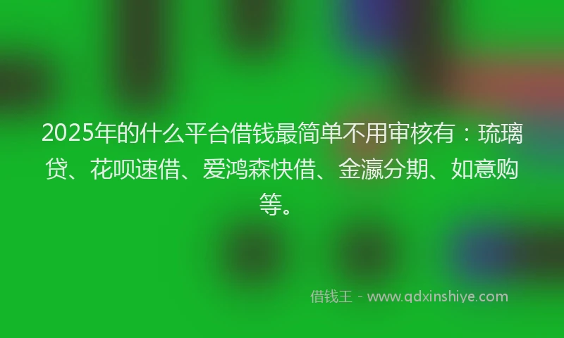 2025年的什么平台借钱最简单不用审核有：琉璃贷、花呗速借、爱鸿森快借、金瀛分期、如意购等。