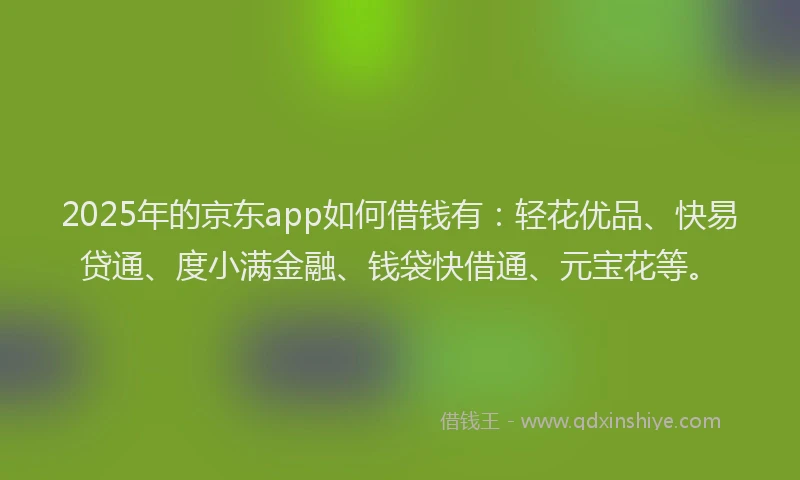 2025年的京东app如何借钱有:轻花优品、快易贷通、度小满金融、钱袋快借通、元宝花等。