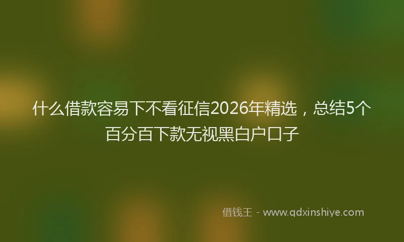 什么借款容易下不看征信2026年精选，总结5个百分百下款无视黑白户口子